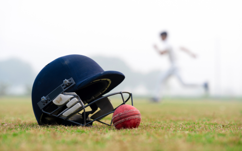 t20 cricket game online play